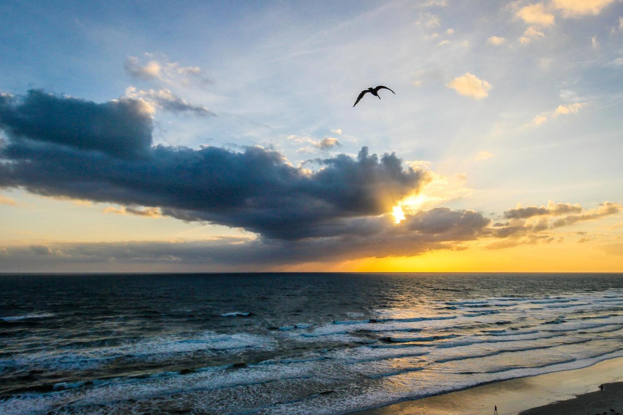 Harbour Beach Resort Daytona Beach Camera foto